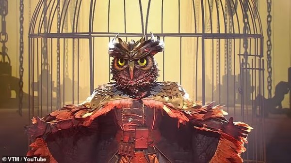 邮报：阿尔德维雷尔德疑似参预比利时“蒙面歌王”，本东谈主并未否定